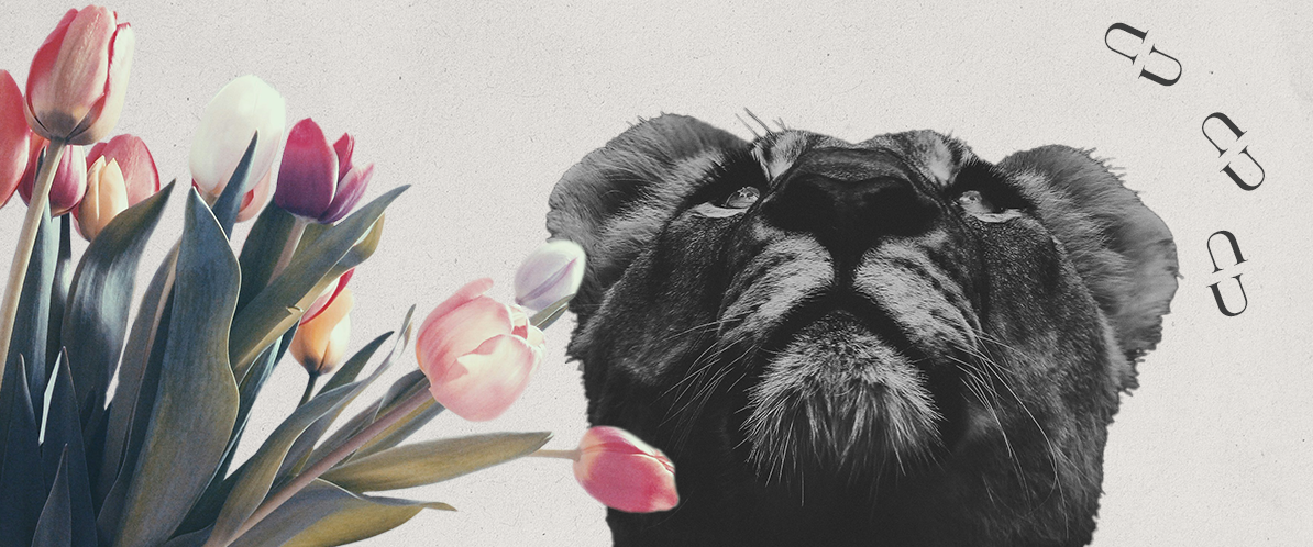 UK Section Images UK Section Heading